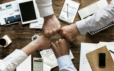 Innovationskultur im Unternehmen: Nährboden für echte Innovationen